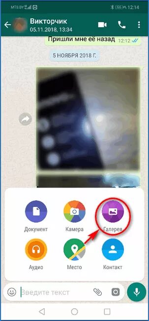 Почему ватсап сохраняет 2 фото в галерею. Из ватсапа в галерею. Фото из WHATSAPP. Сохранение фотографий из WHATSAPP В галерее. Как сохранить фотографии из ватсапа в галерею.
