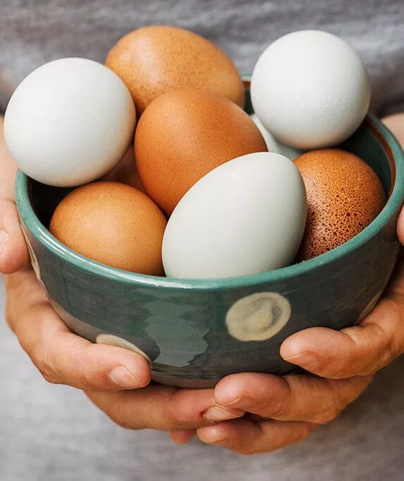 Завтрак от повара. Картинка кушаем еду для зубов для детей. Types of eggs cooking. Eggs wam. Показал свои яйца.