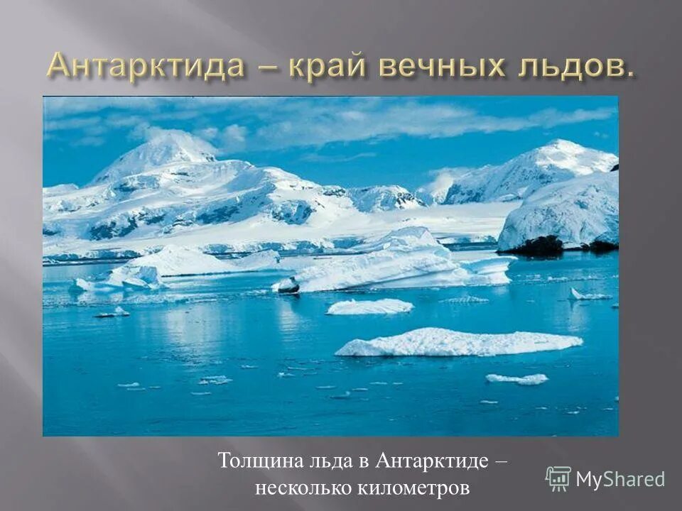 толщина ледника антарктиды. высота антарктиды над уровнем моря. антарктида (материк). максимальная толщина ледяного покрова антарктиды достигает. средняя толщина ледникового покрова в антарктиде.