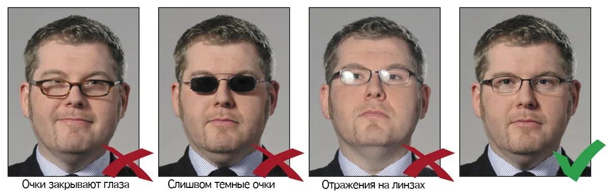 Можно ли собирать грибы в заказнике: найдено 86 изображений