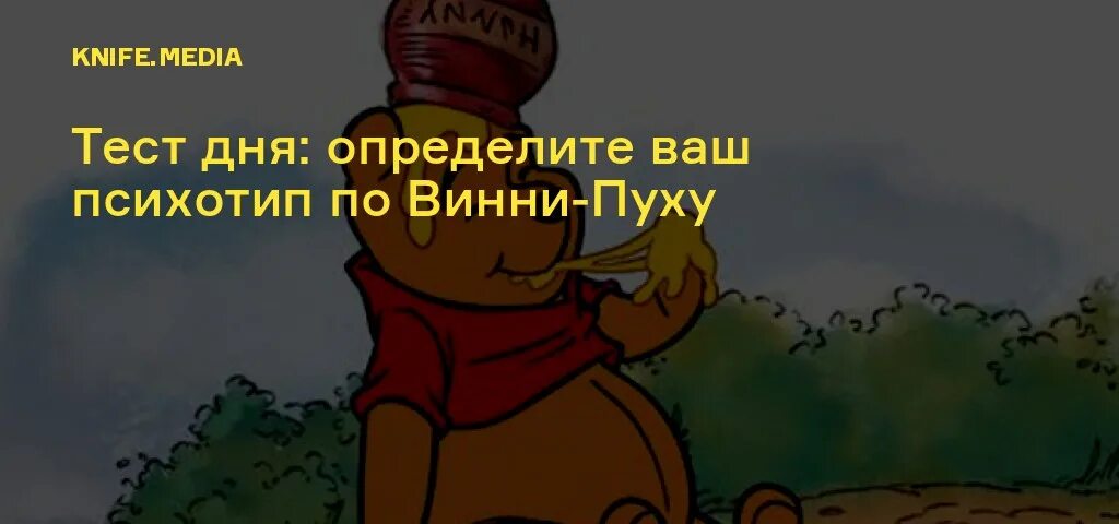Психотип по винни пуху. Винни пух психотип. винни пух психические расстройства. психологические расстройства винни пух. психические расстройства персонажей винни пуха.