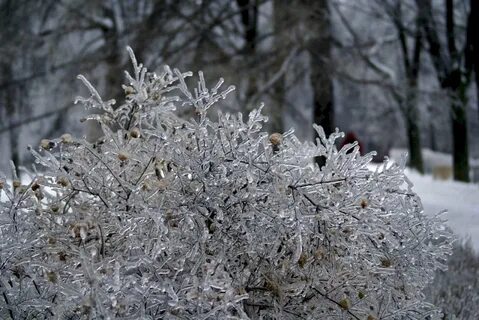 Ледяной дождь ставрополь