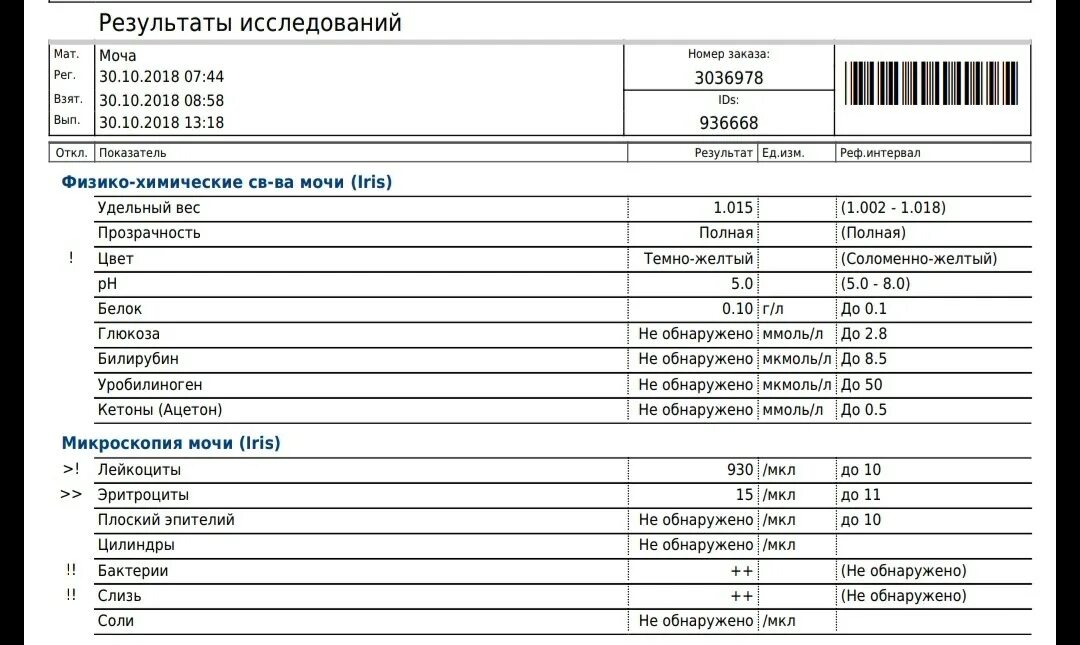 Уробилиноген в моче норма. Автоматизированное исследование мочи. Уробилиноген и плоский эпителий в моче у ребенка. Уробилиноген в анализе мочи норма. Слизь в моче у подростка