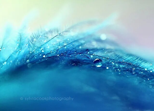 New macro