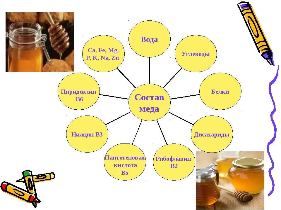 Натуральный мед как определить в домашних условиях. Определение качества меда. Методы определения качества меда. Определение качества меда в домашних условиях. Виды натурального меда.