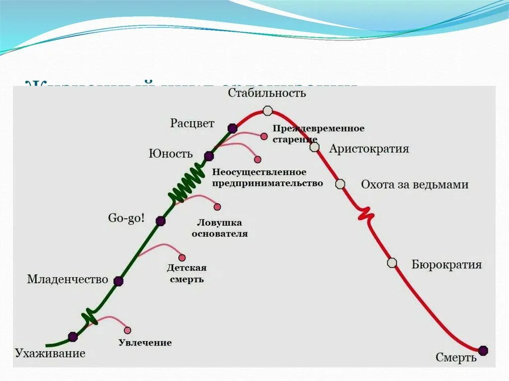 Адизес управление жизненным. Этапы жизненного цикла организации Адизеса. Жизненный цикл организации по Грейнеру и Адизесу. Жизненный цикл организации. Модель жизненного цикла (по и.Адизесу. Ицхака Адизеса "жизненный цикл организации".