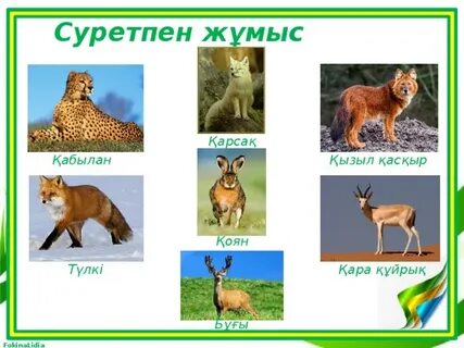 Баламен жыныстық қатынас