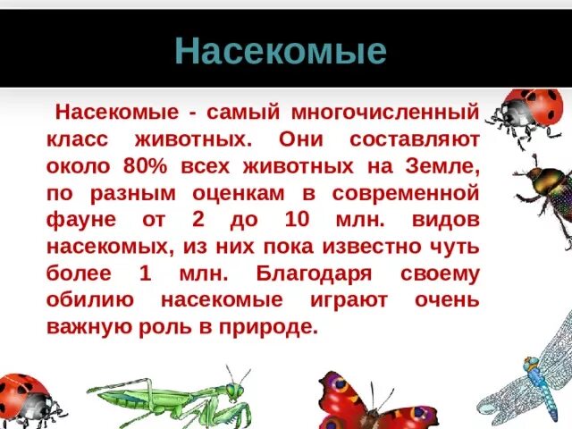 Самый многочисленный класс насекомых. Насекомые самый многочисленный класс животных. Почему насекомые самый многочисленный класс. Кто такие насекомые 1 класс презентация школа России.