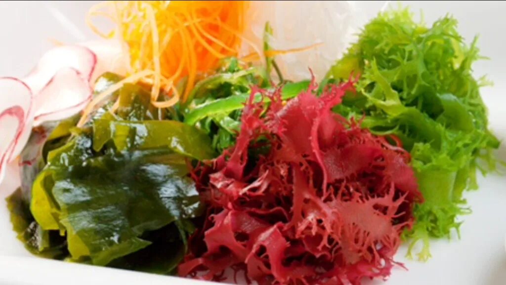 Вкус водорослей. Морские водоросли еда. Съедобные водоросли. Морские водоросли в кулинарии. Красные водоросли съедобные.