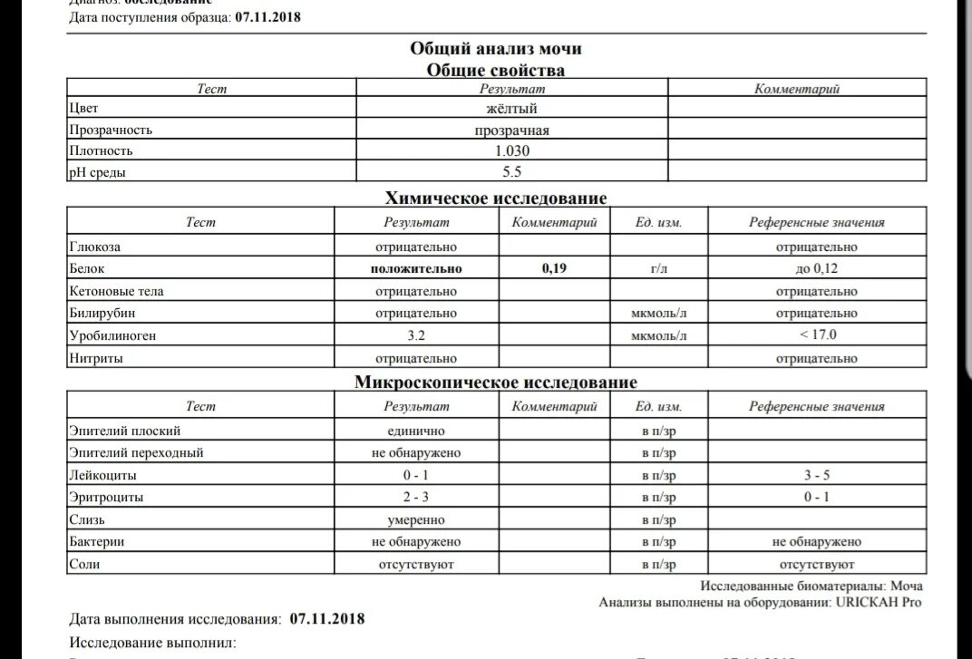 Моча результаты анализов у взрослых