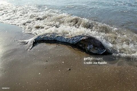 Убитое море