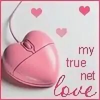 True net