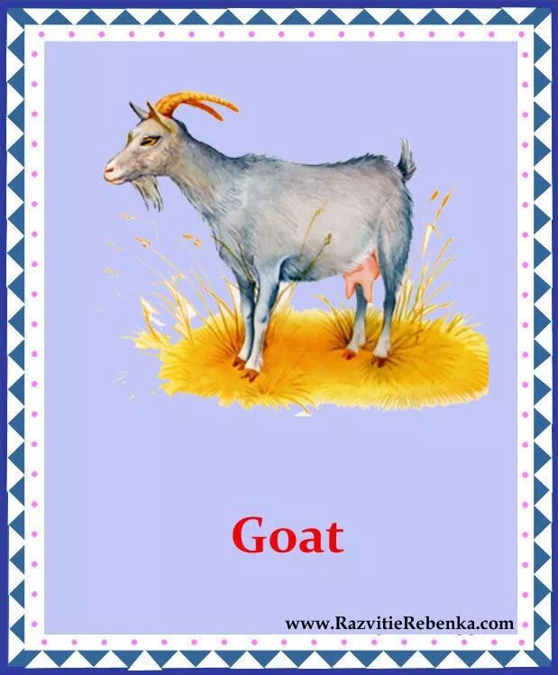 Goat английский. Коза козёл козлёнок. Козел на английском. Козел по английский. Коза по английскому.