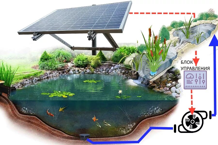 Конструкция водоема. Пруд с биоплато проект. Растения для биоплато для пруда. Приспособление для пруда. Прудик с циркуляцией воды.