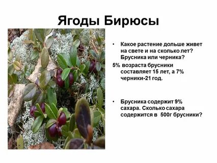 Растения и их годы жизни