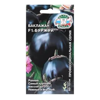 Баклажан буржуй