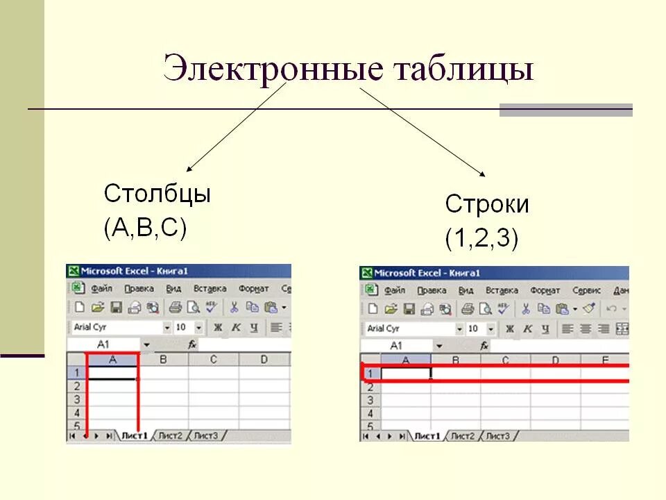 Обозначение строк и столбцов в excel. Столбец и строка в таблице. Таблица ячейки Столбцы строки. Столбцы электронной таблицы. Таблица электронные таблицы (Столбцы, строки, ячейки).