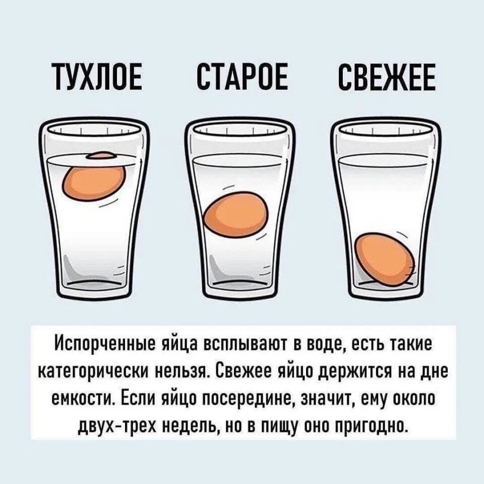 Как отличить свежее. Если яйцо всплывает. Свежесть яиц в воде. Если свежее яйцо всплывает. Определить свежее яйцо.