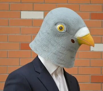 Костюм голуба