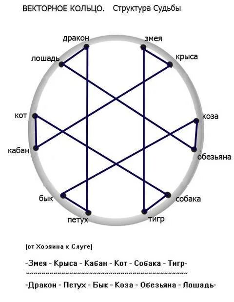 Брачный гороскоп кваша. Структурный гороскоп Григория Кваши векторное кольцо.