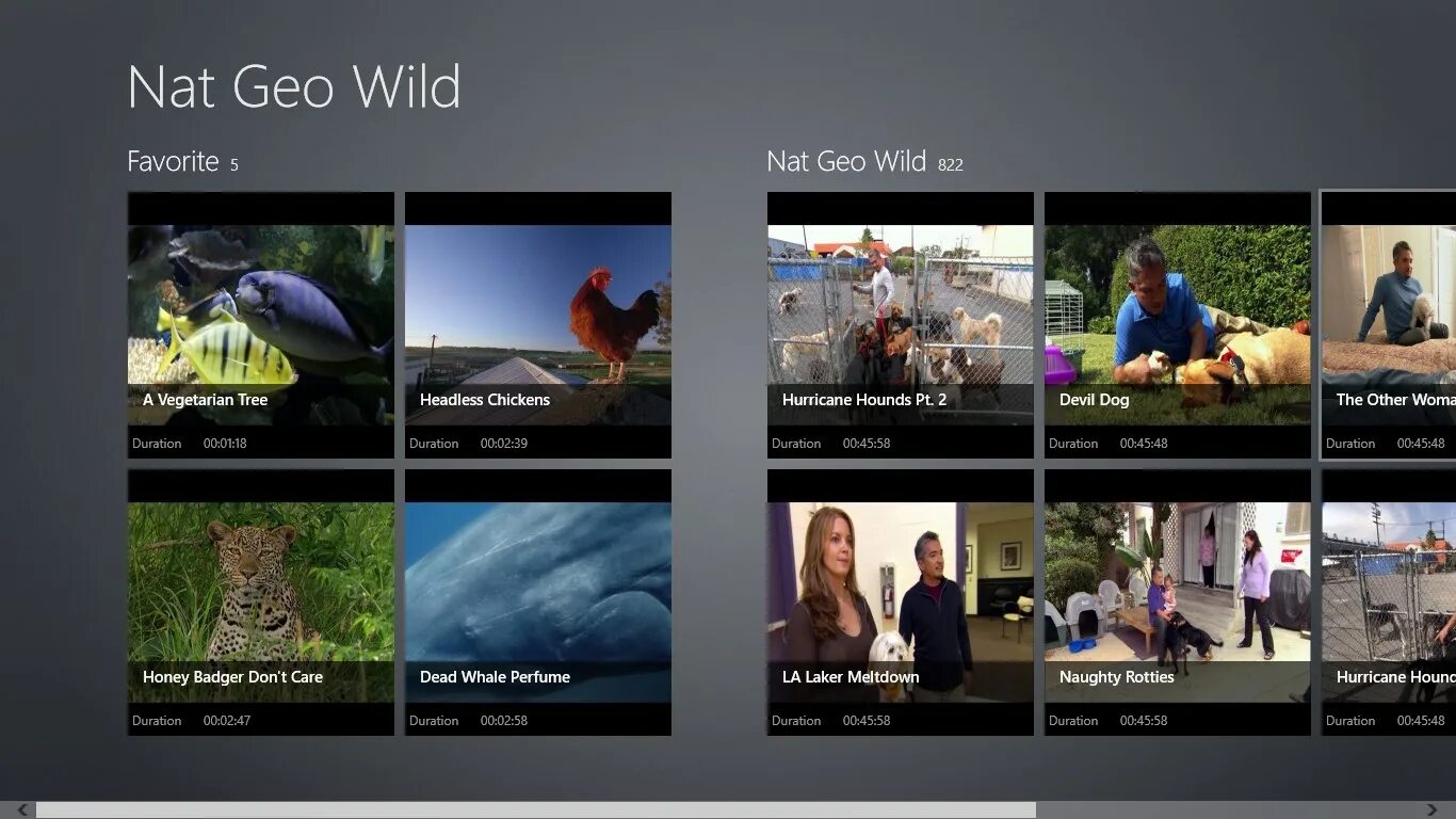 Nat geo программа. Гео вайлд. nat geo wild реклама. national geo wild программа. канал передач нат гео вайлд.