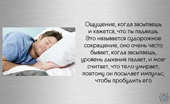 Начало трясти от мужа. Сон человека. Причина резкого падения во сне. Почему падаешь во сне и просыпаешься. Почему человек во сне.
