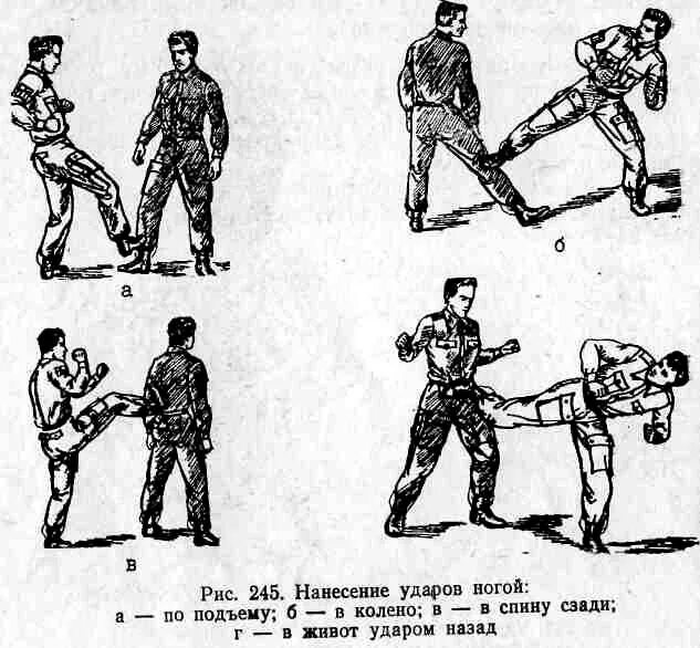 Удары подъемом стопы. Специальная физическая подготовка, средства СФП. Долматов специальная физическая подготовка. Броски с действием на поражение противника. Движения нанесения удара.