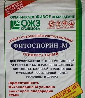 Фитоспорин пролить теплицу осенью