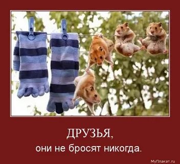 То бросают друг друга то