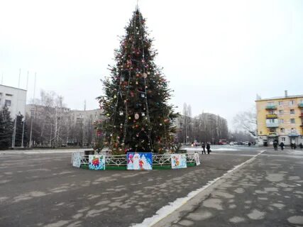 Елка в кировске