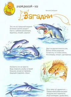 Морские загадки для детей