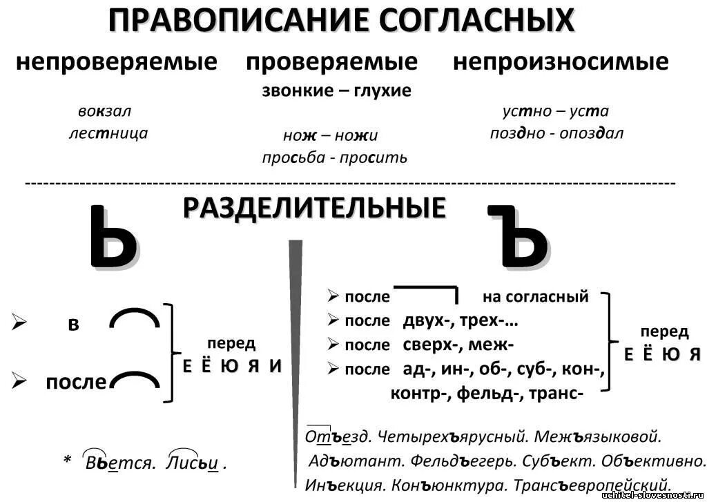 конспекты 11 по русскому языку. конспекты 11 по русскому языку. конспекты 11 по русскому языку. опорная схема имени числительного. конспекты 11 по русскому языку.