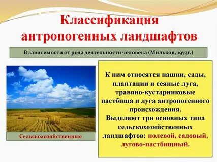 Какие ландшафты относятся к естественным