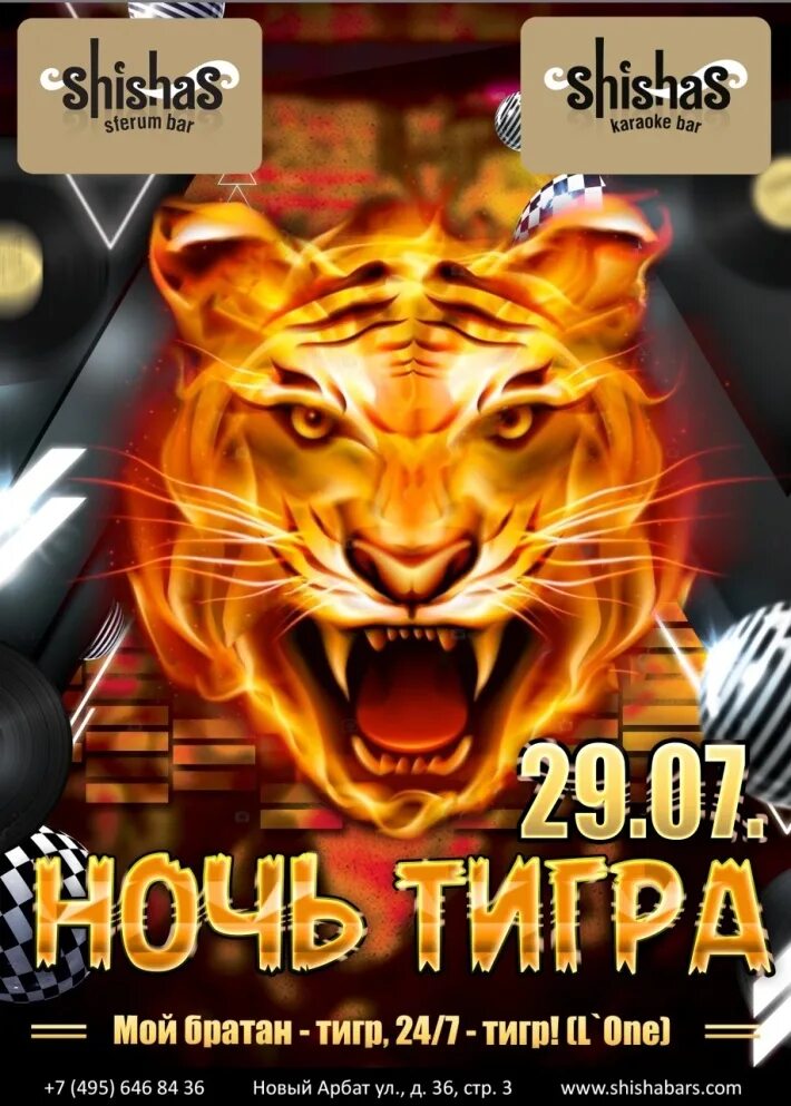 Моя тигрица моя. Тигр музыка. Тигр песни. Тигр вечеринка. Тигр песня.