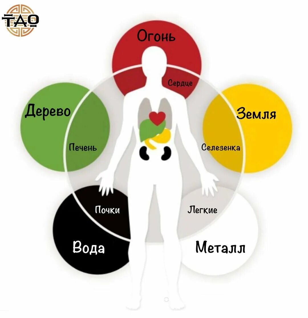Внутренний жар тела. Теория Усин 5 элементов. Энергия Инь и Янь в китайской медицине. У-син даосская система пяти элементов эмоции.