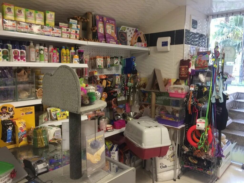 зоомагазин адлер. зоомагазин адлер. зоомагазины сочи центр. зоомагазин в сан сити сочи. зоомагазин сочи с животными.