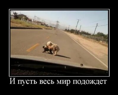 Весь мир подождет реклама