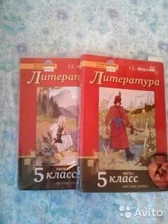 Урок 5 класс меркин