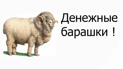 Реклама барашки