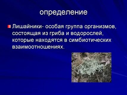 Какие отношения являются симбиотическими