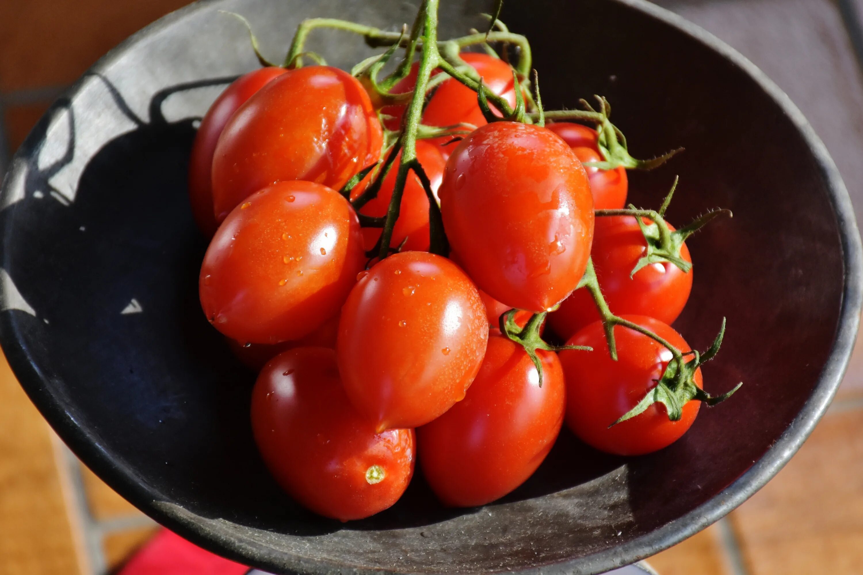 Томат красный Лис. Томат Томато. Сочный помидор. Помидоры аппетитные. Two tomatoes