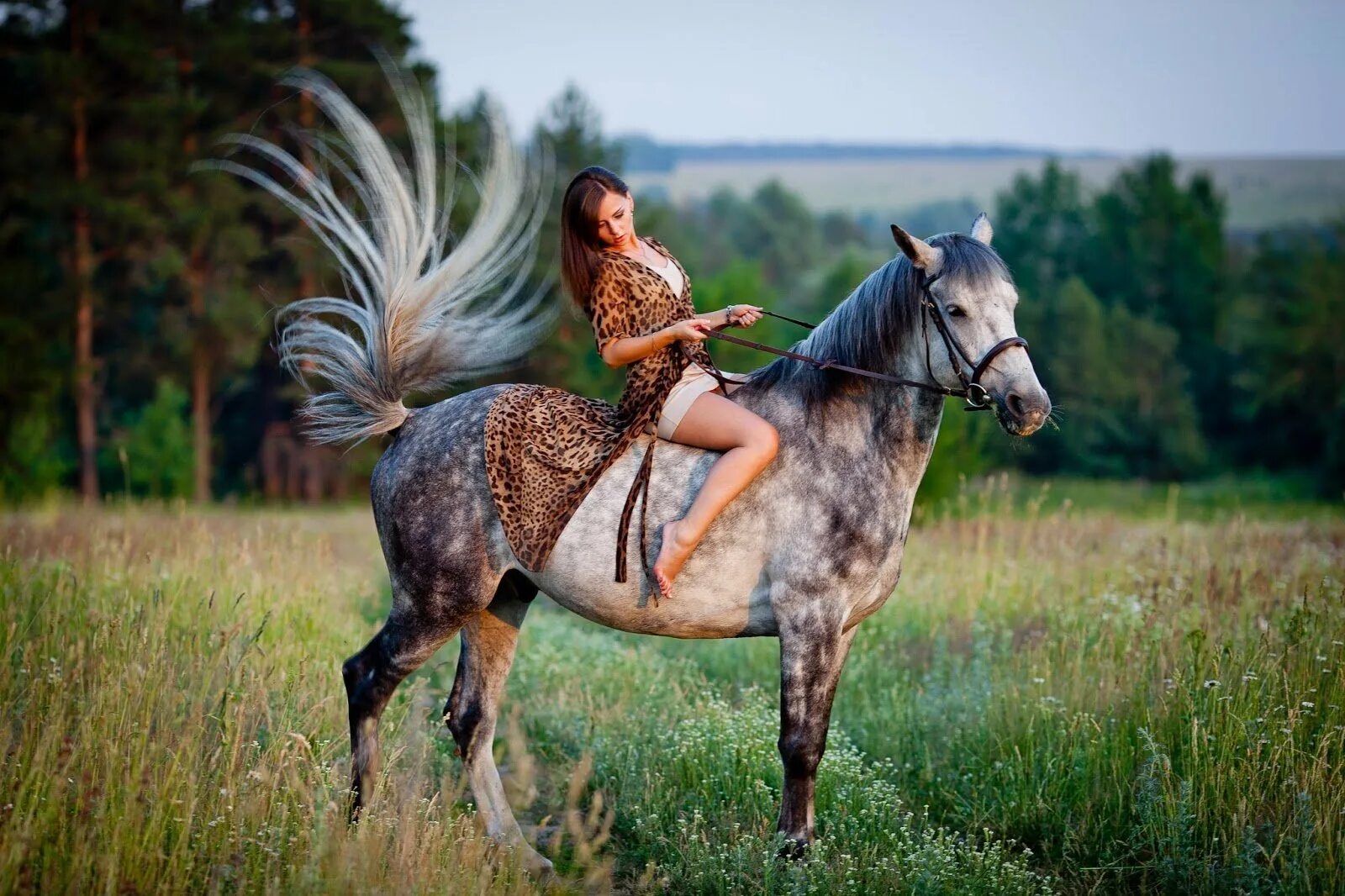 Девушка верхом на лошади. Фотосессия с лошадьми. Фотосессия с лошадью в платье. Фотосессия верхом на лошади.