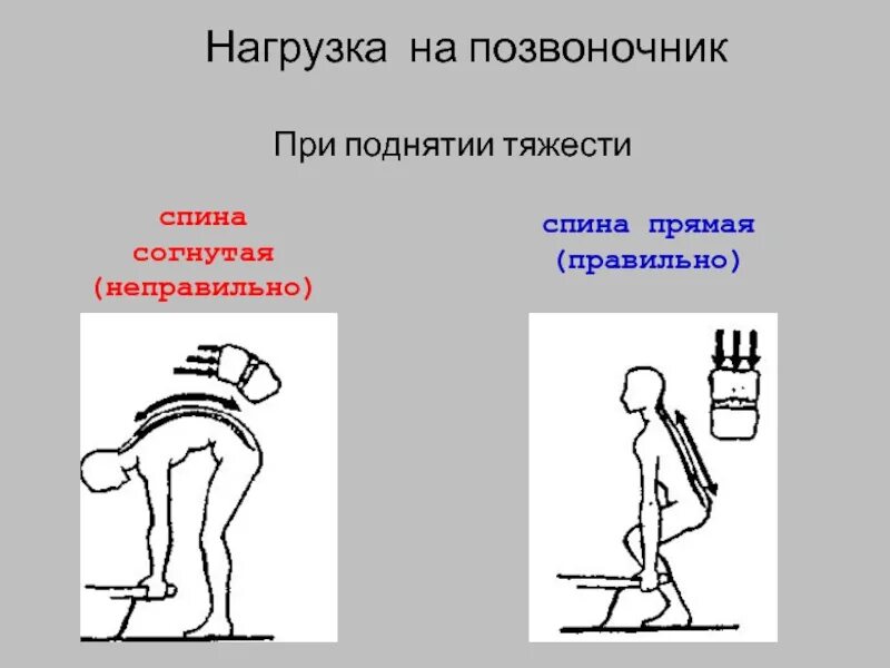 Болезнь при подъеме на высоту. Нагрузка на позвоночник при поднятии тяжести. КК правильно пдымать тяжести. Как правильно поднимать тяжести. Неправильное поднятие тяжестей.