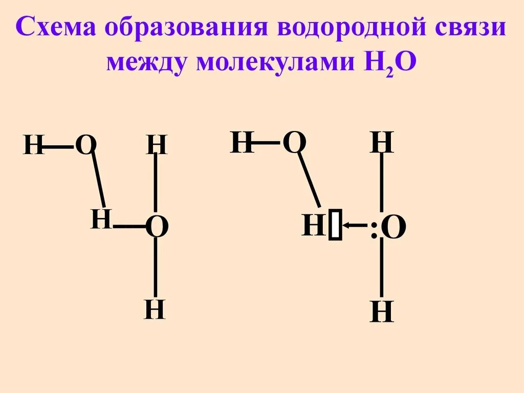 Механизмы водородной связи. Изобразите схему образования водородной связи между молекулами воды. Водородная связь между молекулами воды схема. Схема образования водородной связи между молекулами воды. Изобразите схему образования водородной связи.