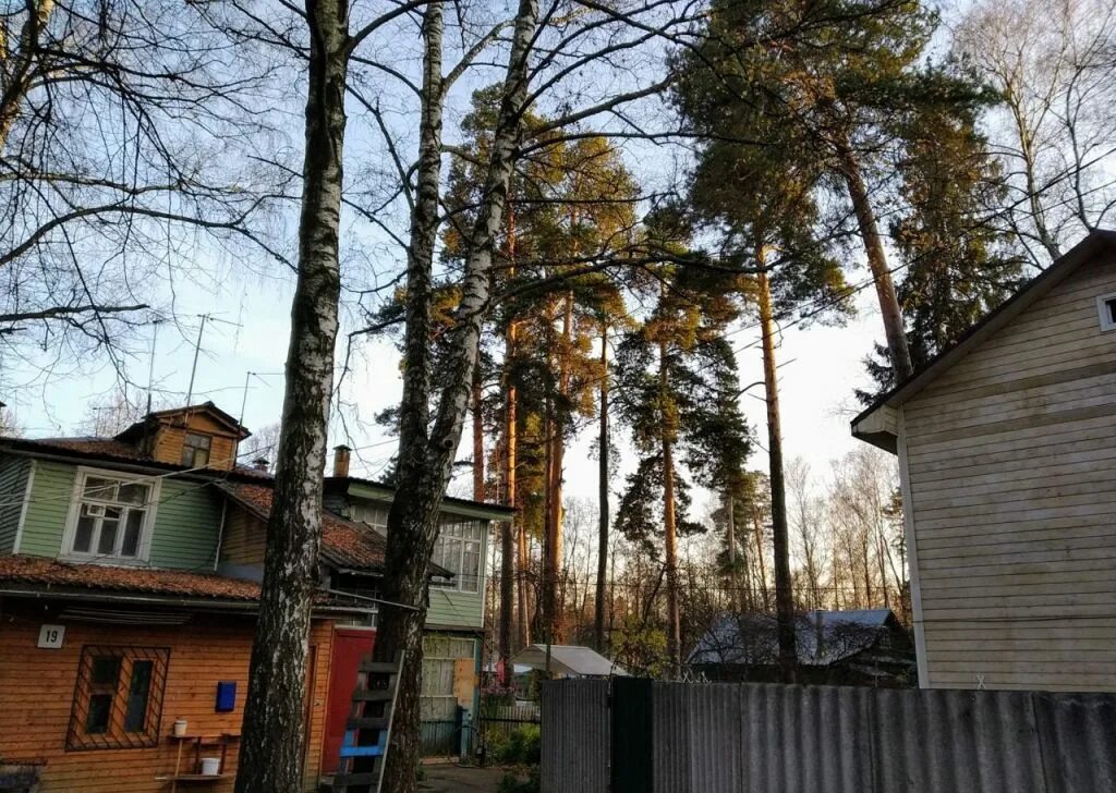 Баня в мамонтовке пушкино. 5 пушкино мамонтовка. Г. 5 пушкино мамонтовка. Пушкино, мкр.