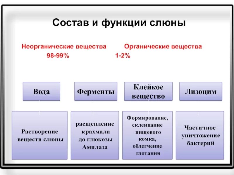 Пищеварительные ферменты слюны человека