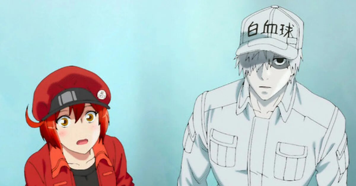 Hataraku saibou. Hataraku saibou раковая клетка. См работа клеток. Hataraku saibou pneumococcus. Hataraku saibou нейтрофил.
