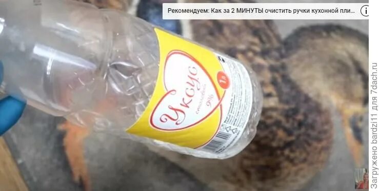 Почему кошачья моча. Кошачья моч. кошачья моча пахнет аммиаком. моча кота пахнет аммиаком.