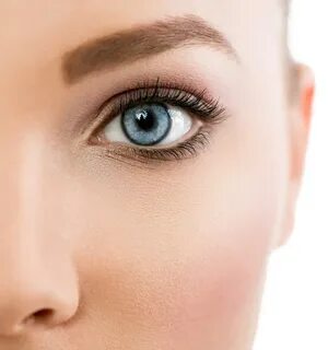 Eyes brows