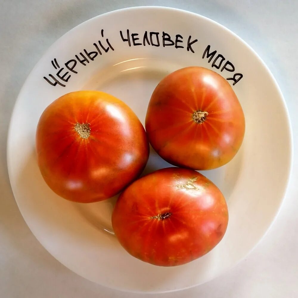 Человек томат. Томат черный человек моря. томат бычок черный. томат манхэттен биколор. томат черный маслянистый.